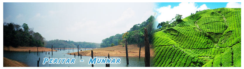periyar tour packages