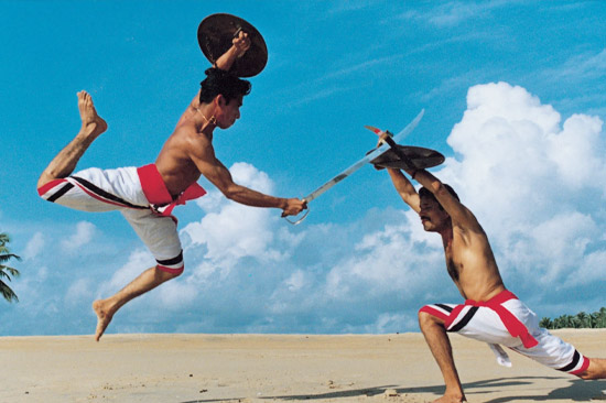 kalaripayattu